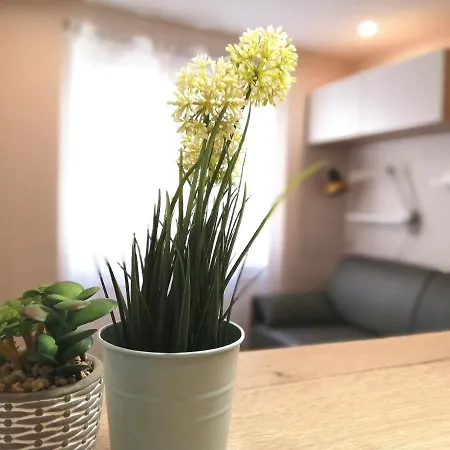 Le Petit - 15 M2 - Centre - Sorgue A 50 M Apartment *